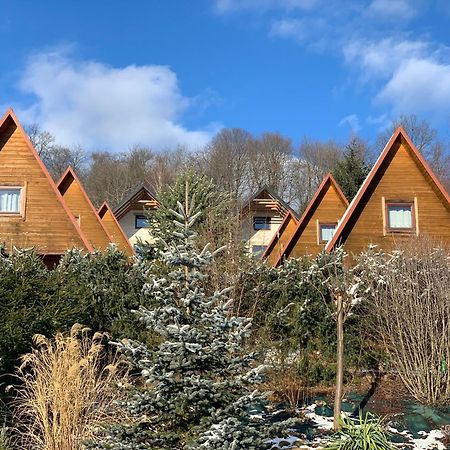 Domki Nad Solina Czarny Kot 509-797-777 Exterior foto