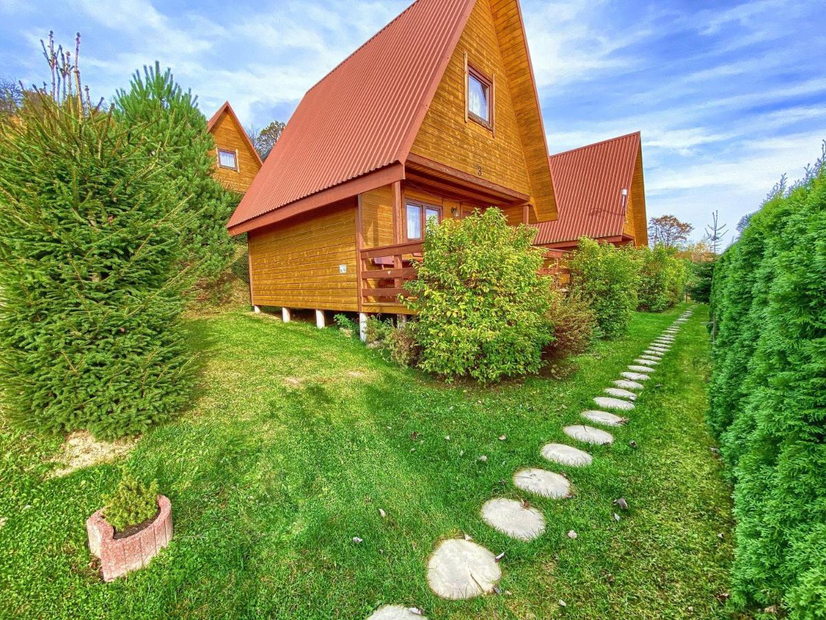 Domki Nad Solina Czarny Kot 509-797-777 Exterior foto