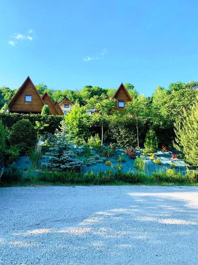 Domki Nad Solina Czarny Kot 509-797-777 Exterior foto